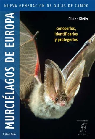 Vuelan silenciosos, ven con las orejas, capturan sus presas en vuelo y hacen volar nuestras fantasías como ningún otro animal nocturno. Hoy en día...