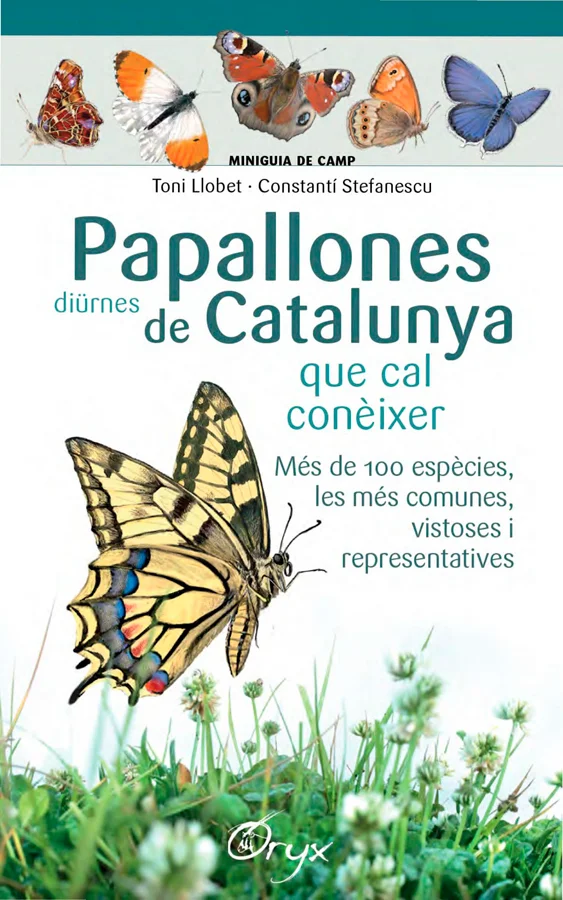 IL·LUSTRACIONS DE TONI LLOBET  MÉS DE 100 ESPÈCIES, LES MÉS COMUNES, VISTOSES I REPRESENTATIVES Còmoda guia en format de paper plastificat despleg...