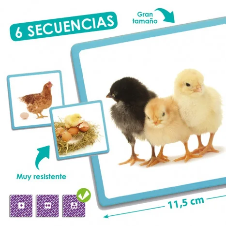 Maxi-seqüències La natura Maxi-seqüències La natura
