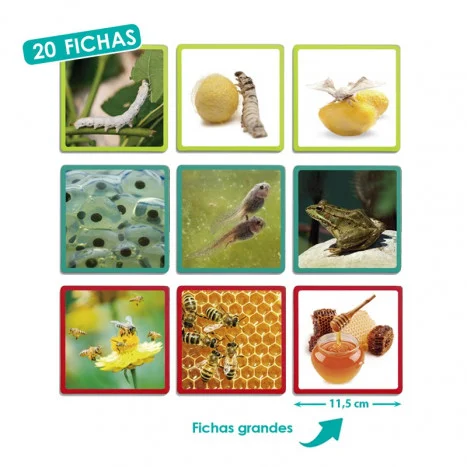 Maxi-seqüències La natura Maxi-seqüències La natura