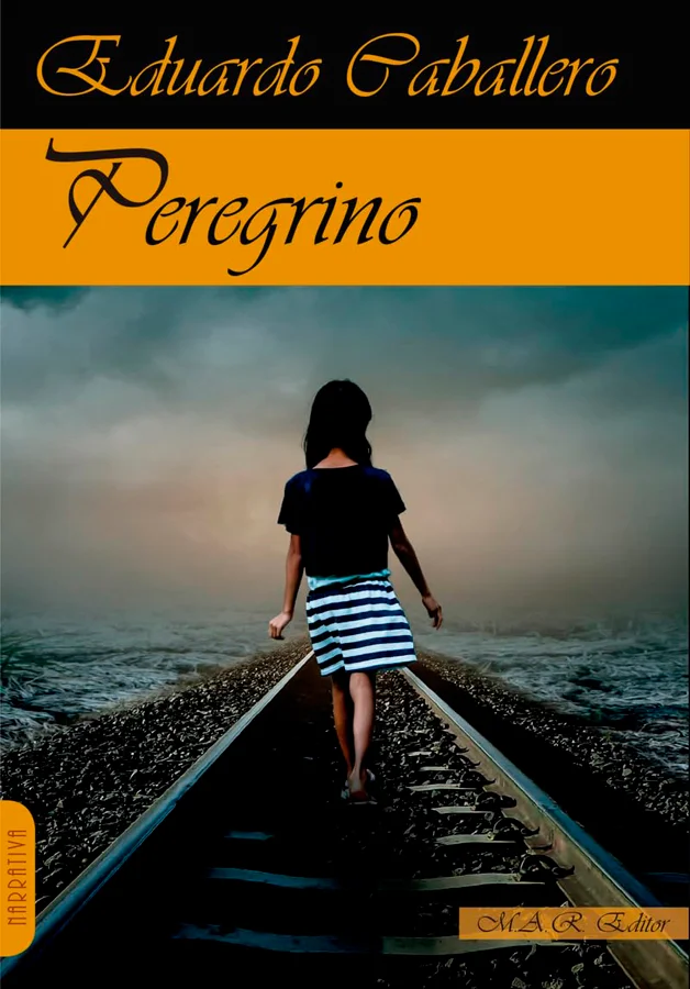 <b>Peregrino es una novela formada por cuentos. Trata de la familia, la identidad, la introspección, el consuelo y la esperanza. Desde la experien...