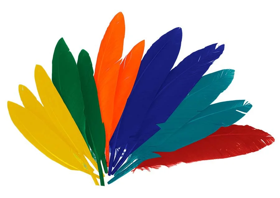 Plomes de colors 60u Plomes de colors 60u