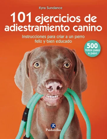 Cuando le damos la bienvenida a nuestro hogar a un perro estamosabriendo la puerta a la compañía y el amor que nos puede brindar nuestronuevo comp...