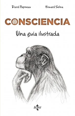 ¿Qué tienen que ver los zombis, las habitaciones chinas, los fantasmas en las máquinas y el gato de Schrödinger con la consciencia? La ciencia mod...