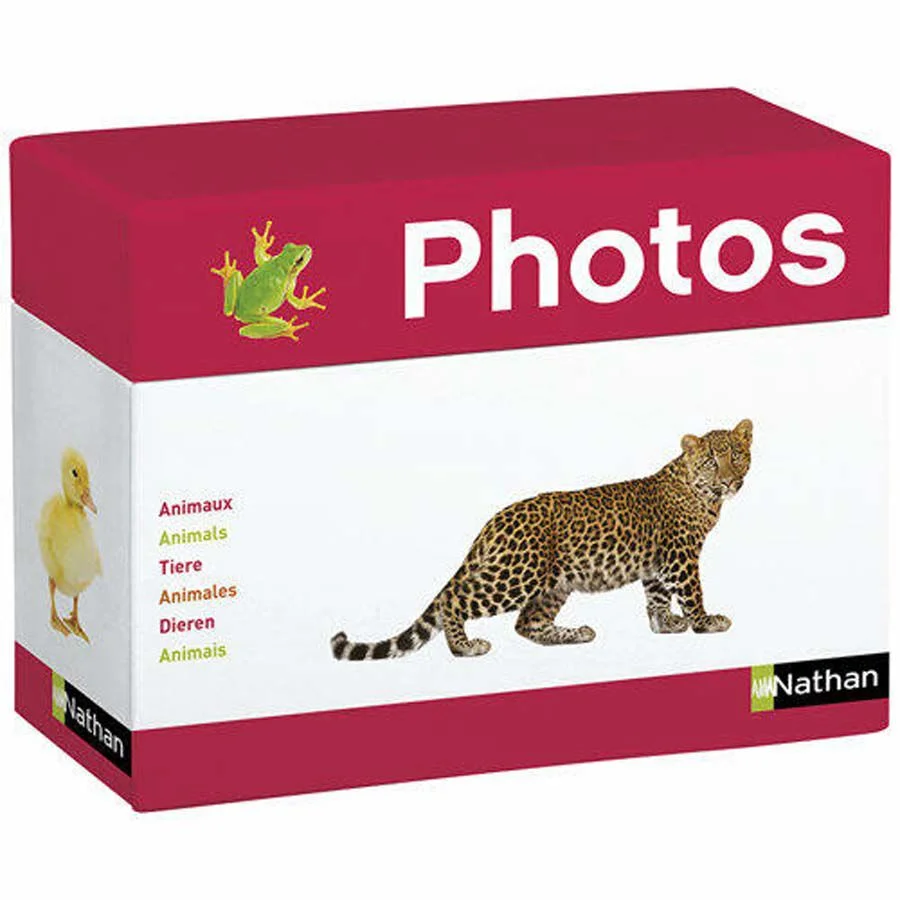 Fotoimatges Animals Fotoimatges Animals