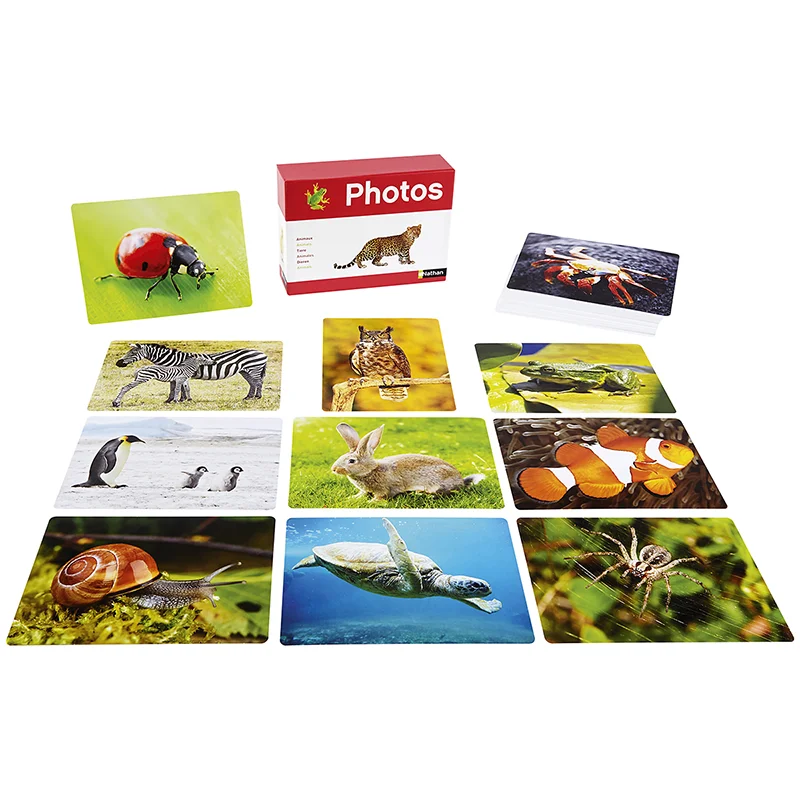 Fotoimatges Animals Fotoimatges Animals