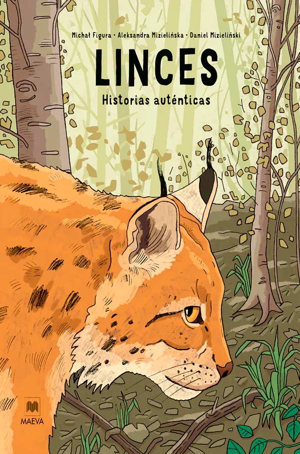 <p><strong>Ágiles, esquivos y misteriosos. Conoce a uno de los mayores felinos de Europa</strong></p><p>Pelaje con manchas, cola corta, patas grue...