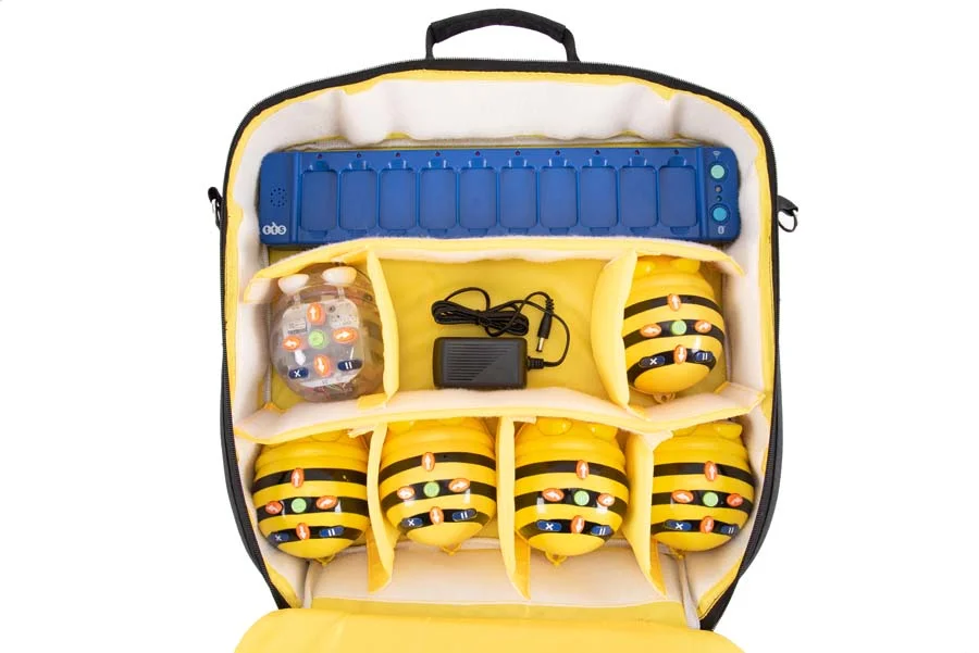 Bossa per transportar Bee-Bot® i Blue -Bot® Bossa per transportar Bee-Bot® i Blue -Bot®