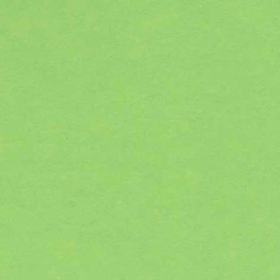 Cartolina Iris 23x32 240g verd clar 50 fulls Cartolina Iris 23x32 240g verd clar 50 fulls