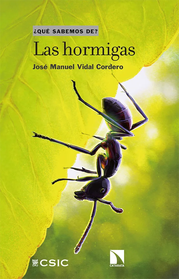 La mirmecología es la rama de la entomología especializada en el estudio de las hormigas, esos sorprendentes insectos sociales en los que destaca ...