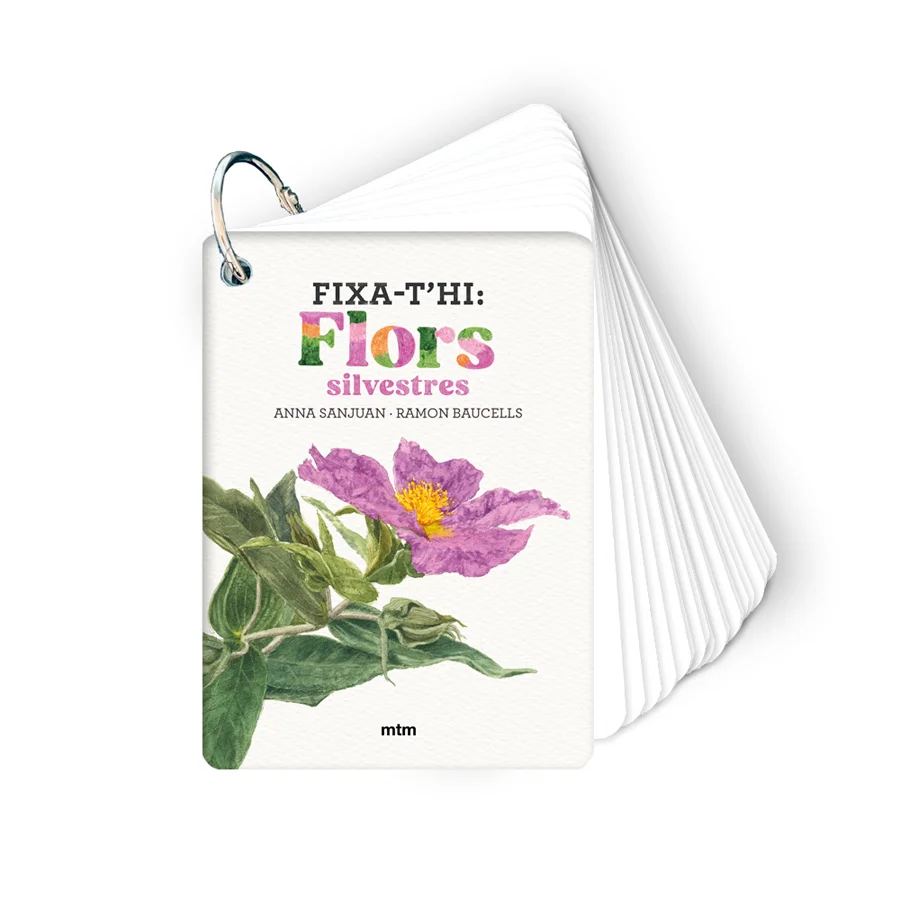 <P>Si penses en una flor, quina és la primera que et ve al cap? I saps on la pots trobar? Quants pètals té? T'has adonat mai que a vegades per ide...