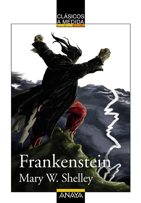 Mary Shelley empezó a gestar esta novela en el verano de 1816, un verano lluvioso y sin apenas sol. Tal vez estas circunstancias extraordinarias p...