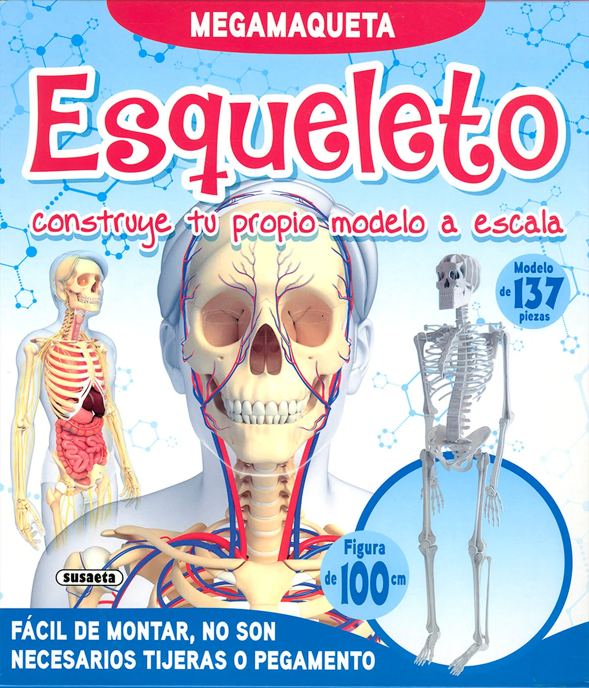 ¡Monta tu propia maqueta de un esqueleto! Mide 100 cm, y no necesitas tijeras ni pegamento. Además, cuentas con un libro de 16 páginas donde se de...